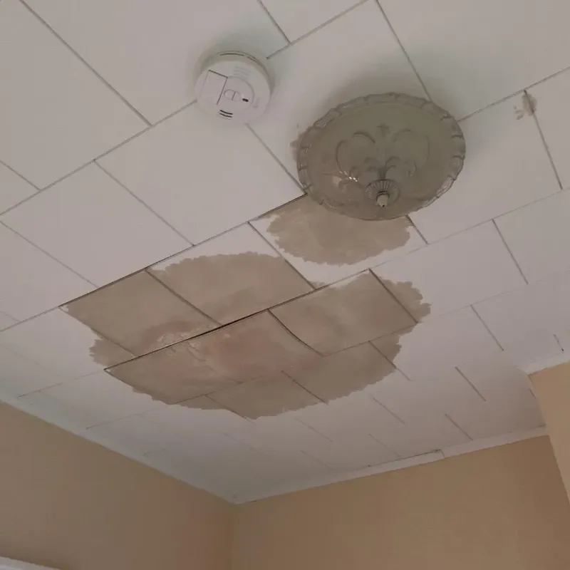 Ceiling Water Damage Repair in City of Franklin, VA
