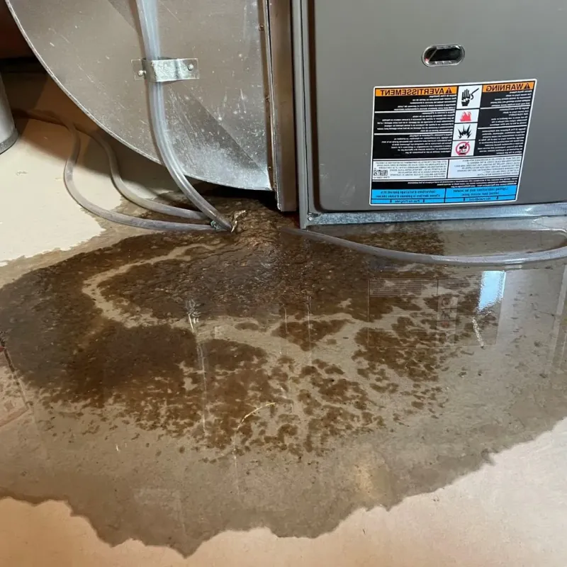 Pipe Burst and Leak Restoration in City of Franklin, VA