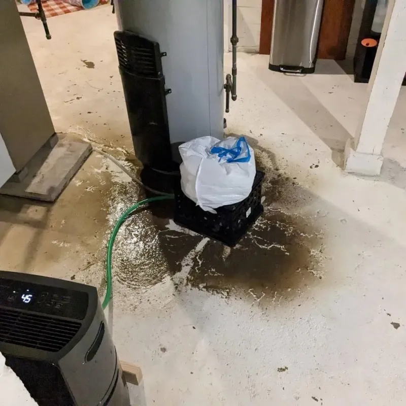 Sewage Backup Cleanup Service in City of Franklin, VA